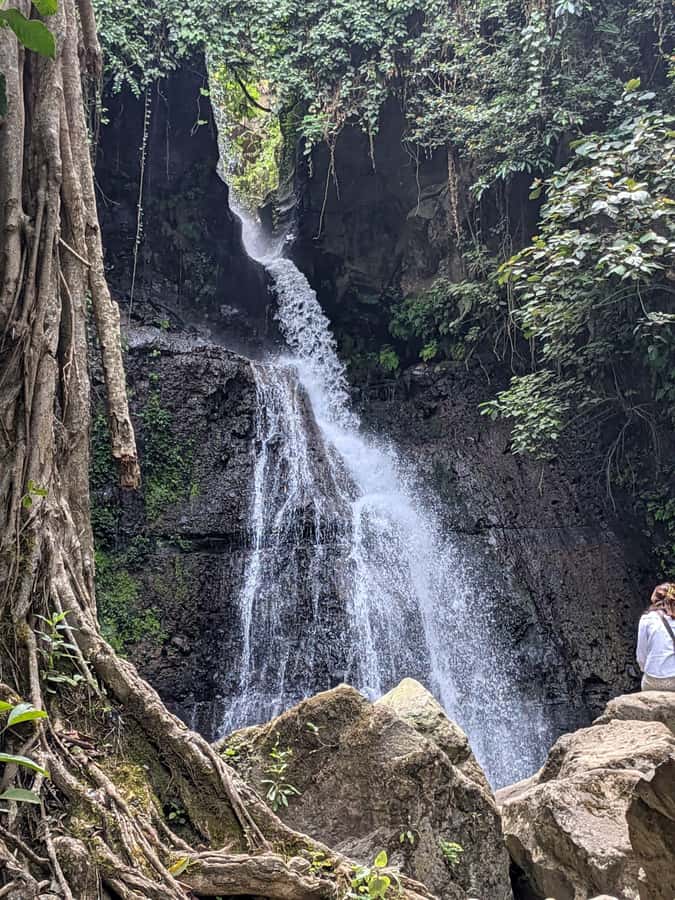 From Arusha: Coffee Farm and Mangalia Waterfalls Tour - Fresh coffee, fruit, and a slower hour