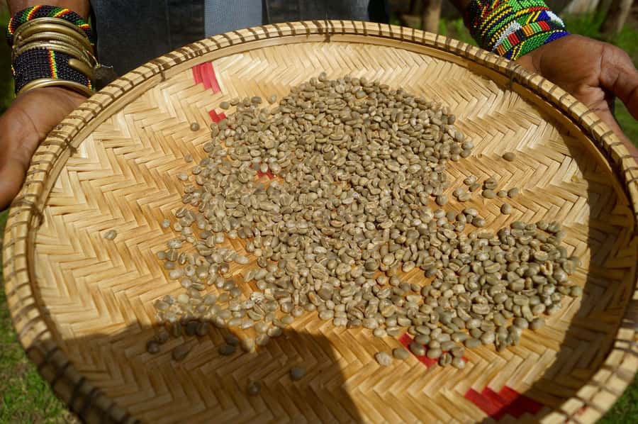 From Arusha: Coffee Farm and Mangalia Waterfalls Tour - Walking down to Mangalia Waterfalls