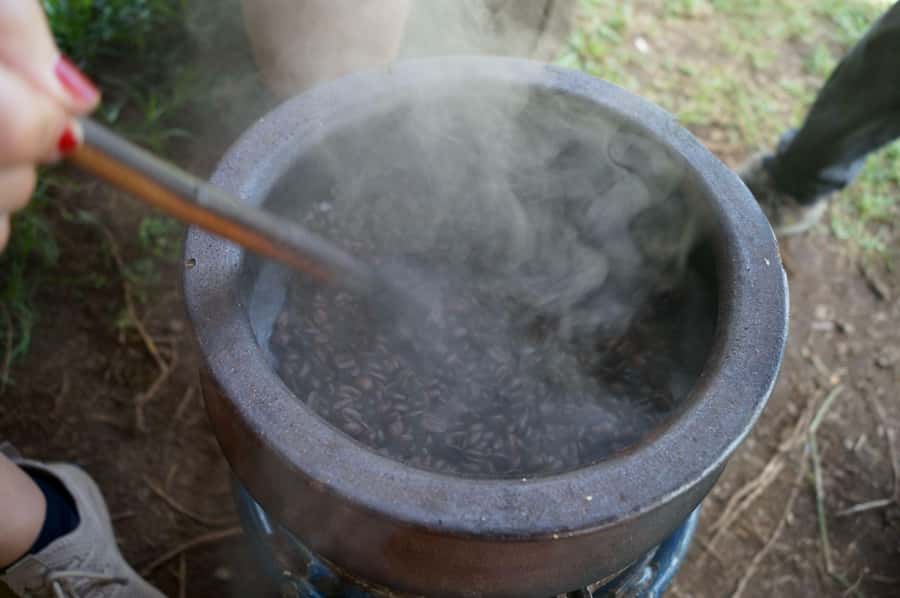 From Arusha: Coffee Farm and Mangalia Waterfalls Tour - What the guides add to the day