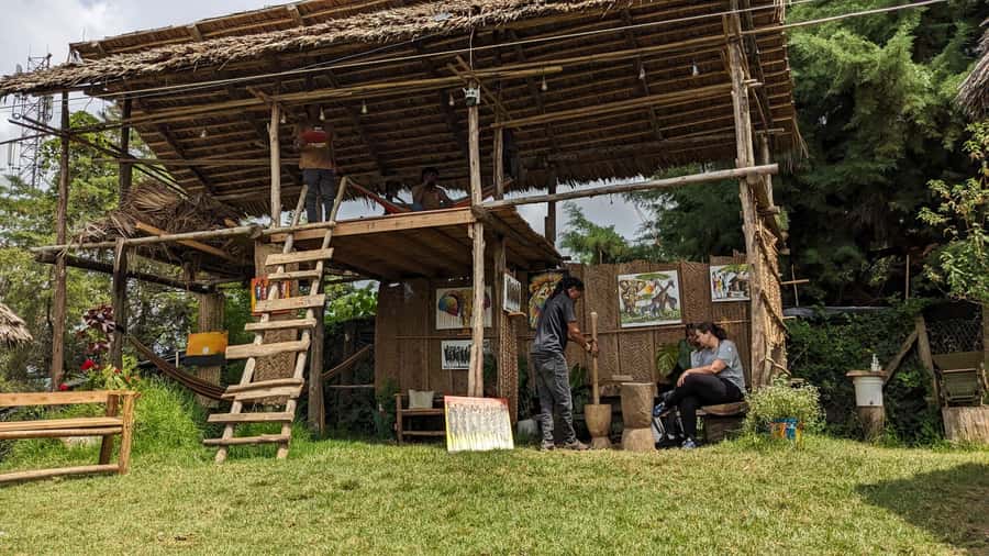 From Arusha: Coffee Farm and Mangalia Waterfalls Tour - Practical tips for a smoother visit