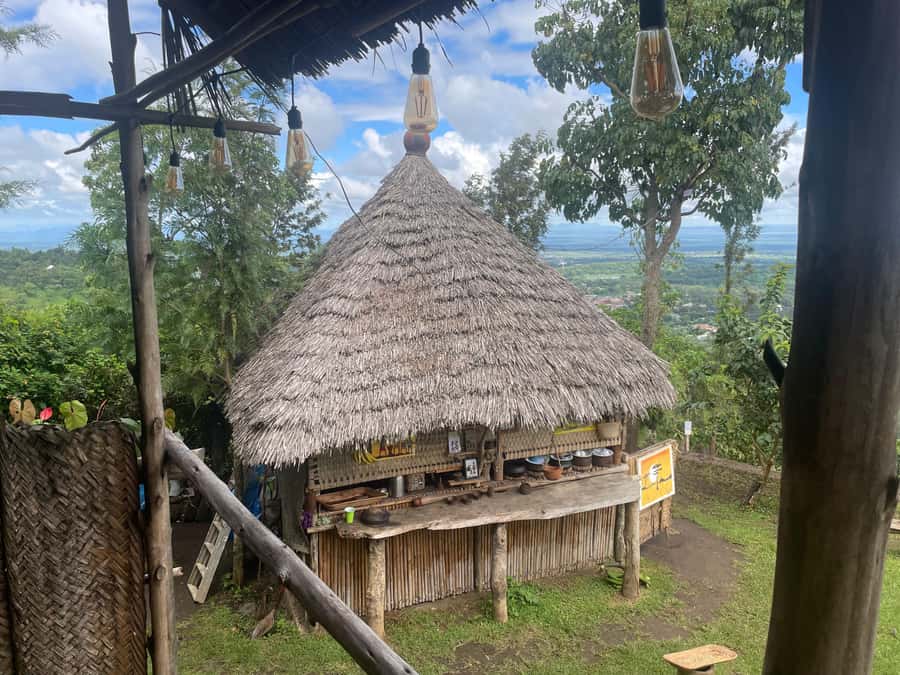 From Arusha: Coffee Farm and Mangalia Waterfalls Tour - The drive from Arusha to the coffee farm