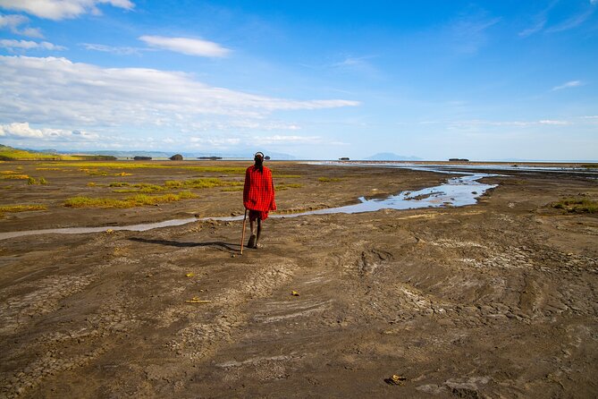 From Arusha : Days Safari Northern Circuit to Maasai Boma - Day four: Lake Manyara’s forest and famous lions