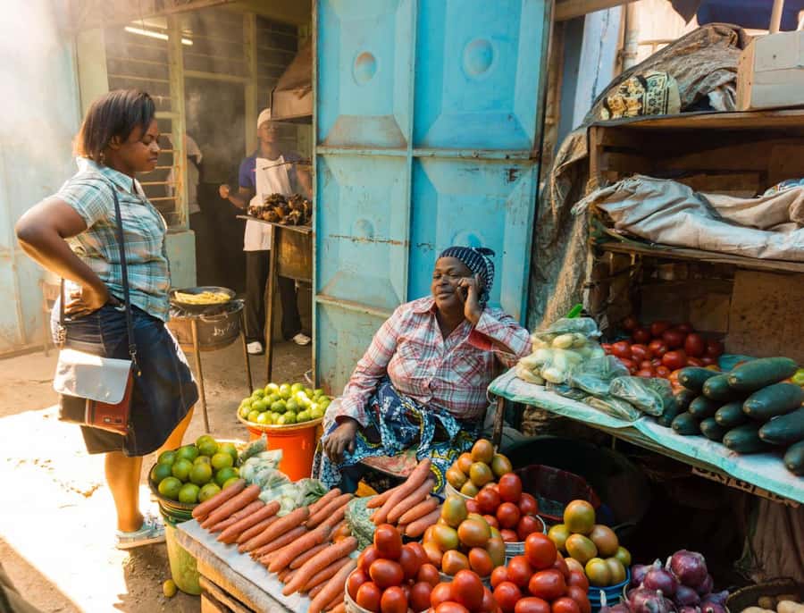 From Arusha: Guided City Tour with the best highlights - Key points to know before booking