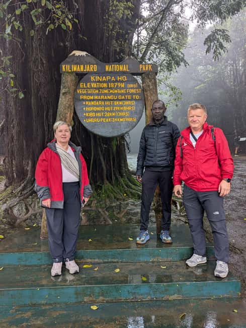From Arusha/Moshi: Kilimanjaro Hike Marangu Route Day Trip - Key points at a glance