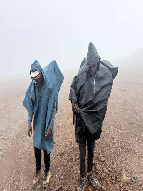 From Arusha/Moshi: Kilimanjaro Hike Marangu Route Day Trip - The descent back to Marangu Gate
