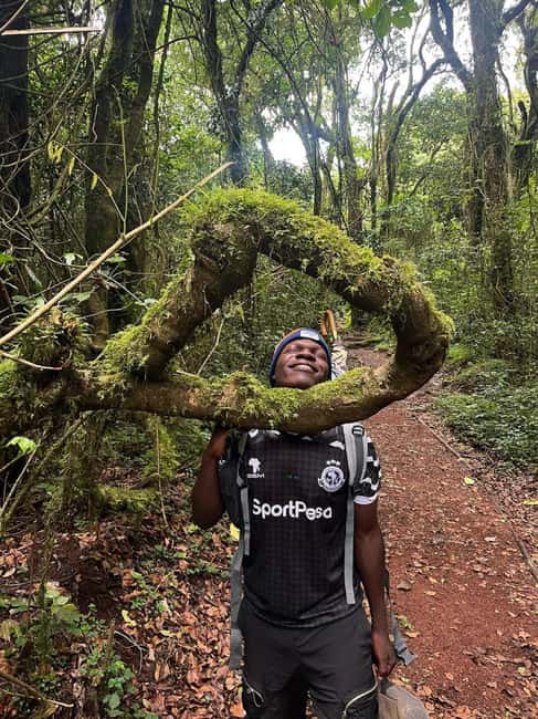 From Arusha/Moshi: Kilimanjaro Hike Marangu Route Day Trip - What the $101 price includes, and what it does not