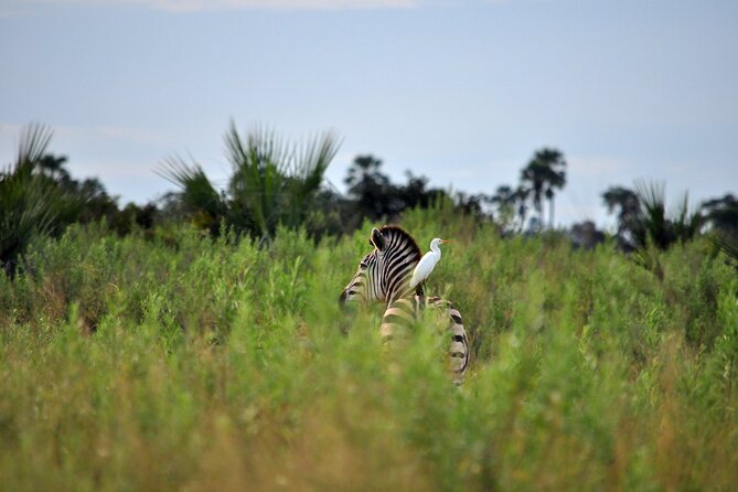 From Arusha: Tarangire and Ngorongoro Crater 3-Day Private Safari - Should You Book It?