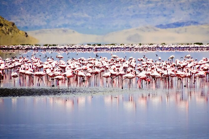 From Arusha to Zanzibar : 11 days From Bush to Beach safari - Why this bush-to-beach route works