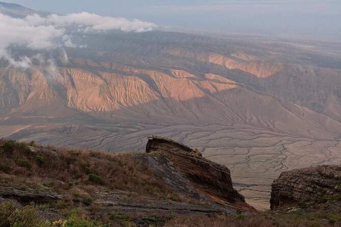 From Arusha to Zanzibar : 11 days From Bush to Beach safari - Day 5: Lake Manyara and the chance to spot tree-climbing lions