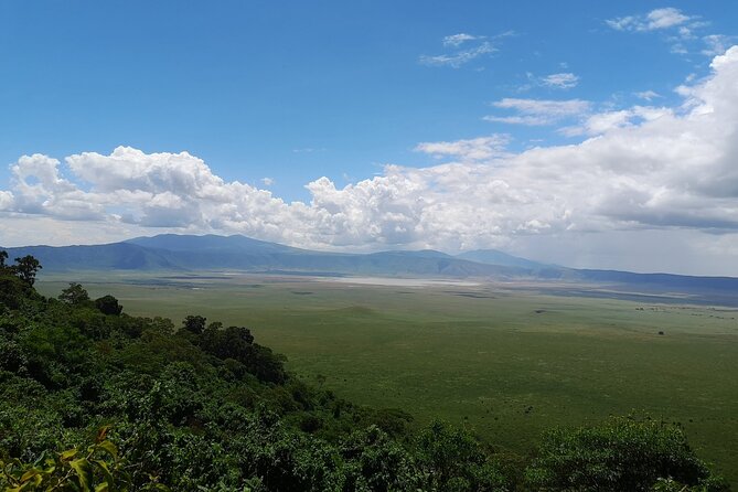 From Arusha to Zanzibar : 11 days From Bush to Beach safari - Days 9 and 10: Two open days on Zanzibar