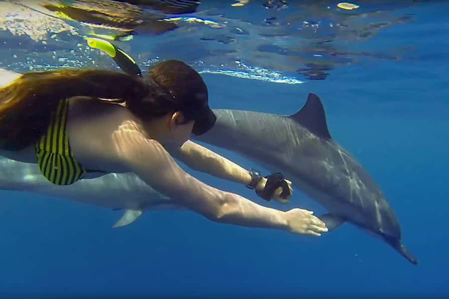 From Kendwa: Mnemba Boat Trip and Dolphin Snorkel Adventure - Snorkeling around Mnemba’s coral reef
