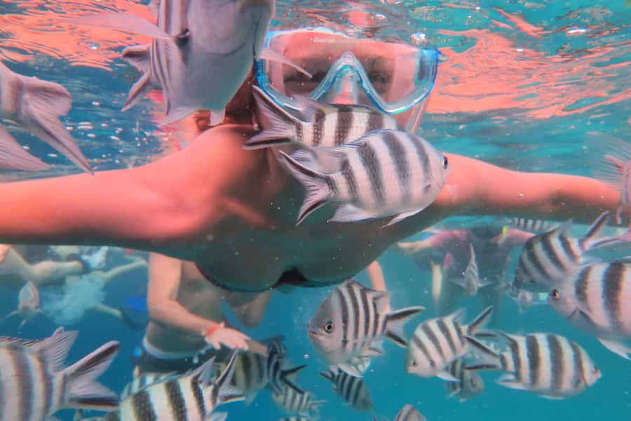 From Kendwa: Mnemba Boat Trip and Dolphin Snorkel Adventure - The disappearing sandbank and a plate of local fruit