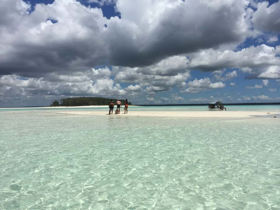 From Kendwa: Mnemba Boat Trip and Dolphin Snorkel Adventure - What the $50 price really covers