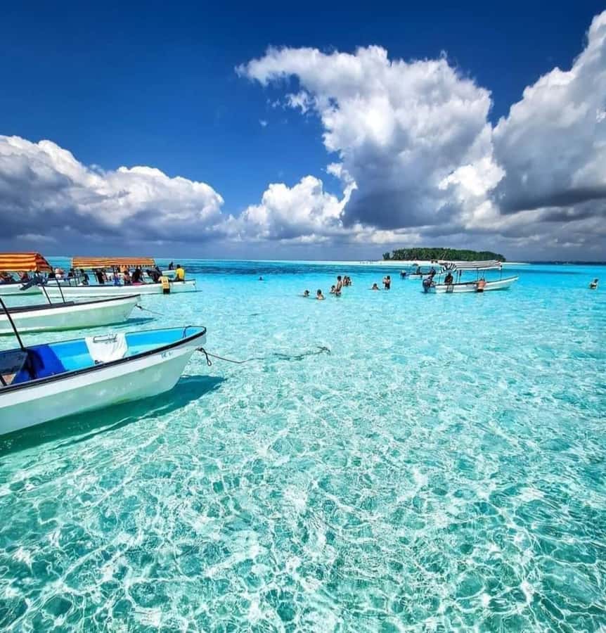 FROM KENDWA; Mnemba snorkelling and Dolphin tour - Five things to know before you book