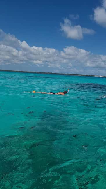 FROM KENDWA; Mnemba snorkelling and Dolphin tour - Relaxing on the shallow sandbank