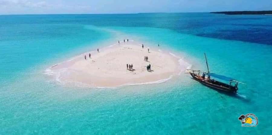 From Kendwa/Nungwi: Mnemba Dolphins with Snorkel Tour - What the $56 price really covers