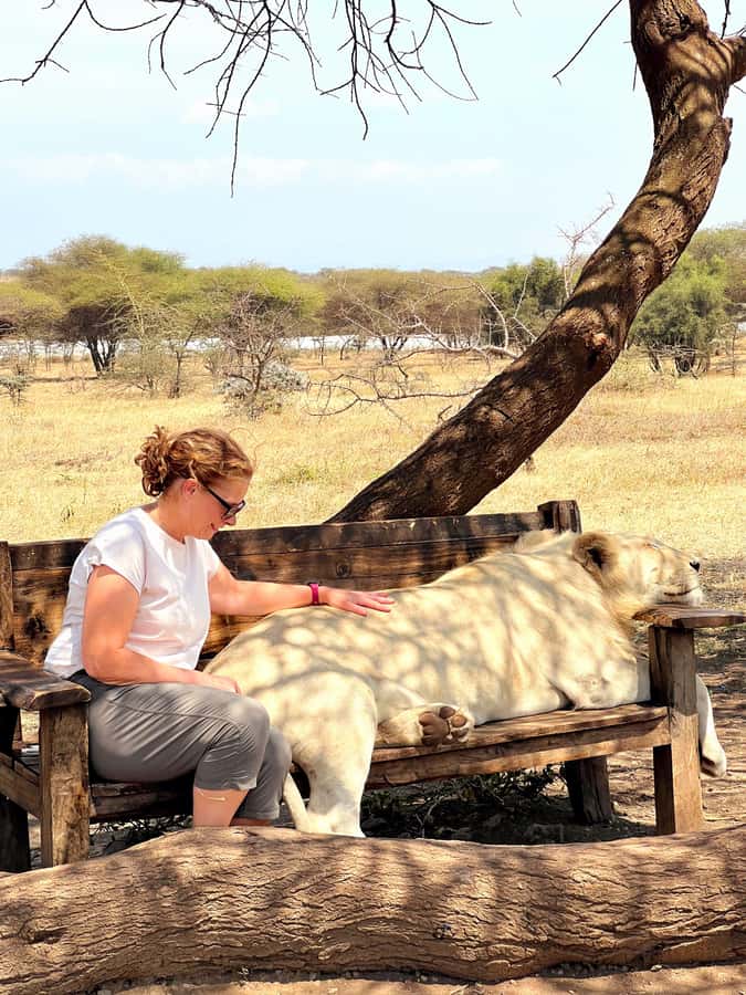 From Moshi or Arusha: Serval Wildlife Sanctuary Trip - One hour of close wildlife contact