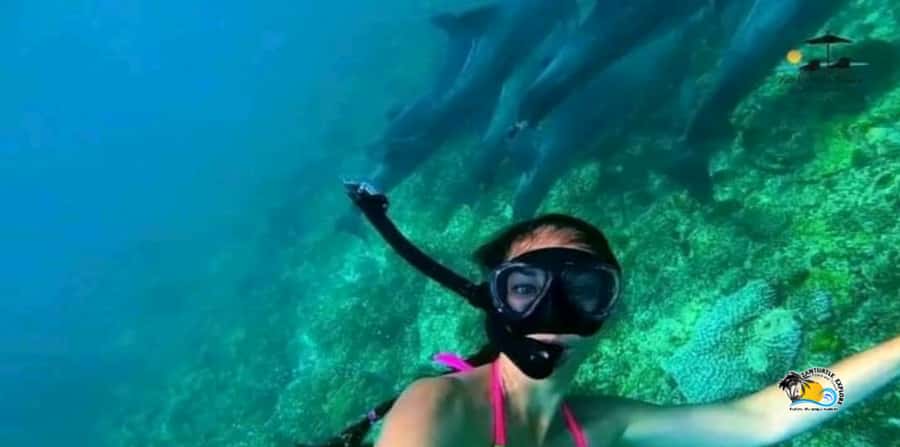 From Nungwi/Kendwa: Mnemba Atoll Starfishes & Dolphins Tour - How the timing affects your day