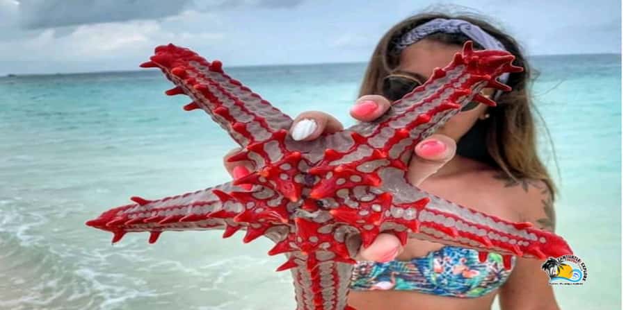 From Nungwi/Kendwa: Prison Island & Nakupenda Sandbank Tour - A beach barbecue with seafood and fruit