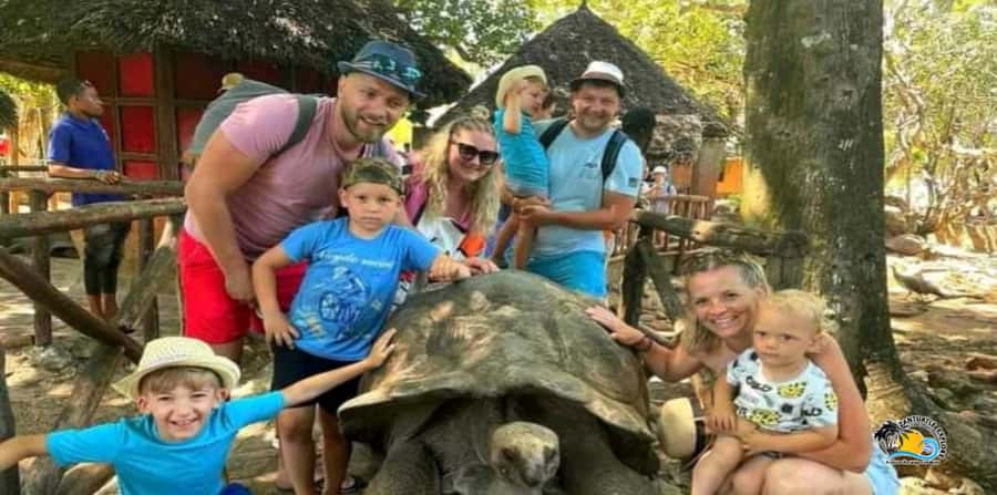From Nungwi/Kendwa: Prison Island & Nakupenda Sandbank Tour - Prison Island and its giant tortoises