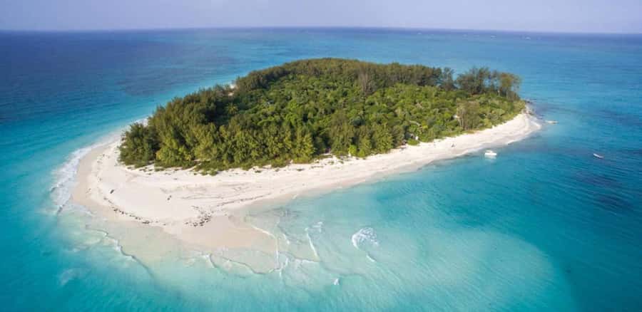 FROM NUNGWI; MNEMBA SNORKELING AND DOLPHIN TOUR - Who should book this experience?