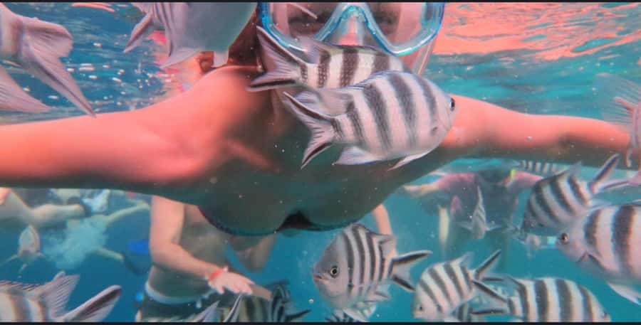 FROM NUNGWI; MNEMBA SNORKELING AND DOLPHIN TOUR - Why this Zanzibar boat trip is worth considering