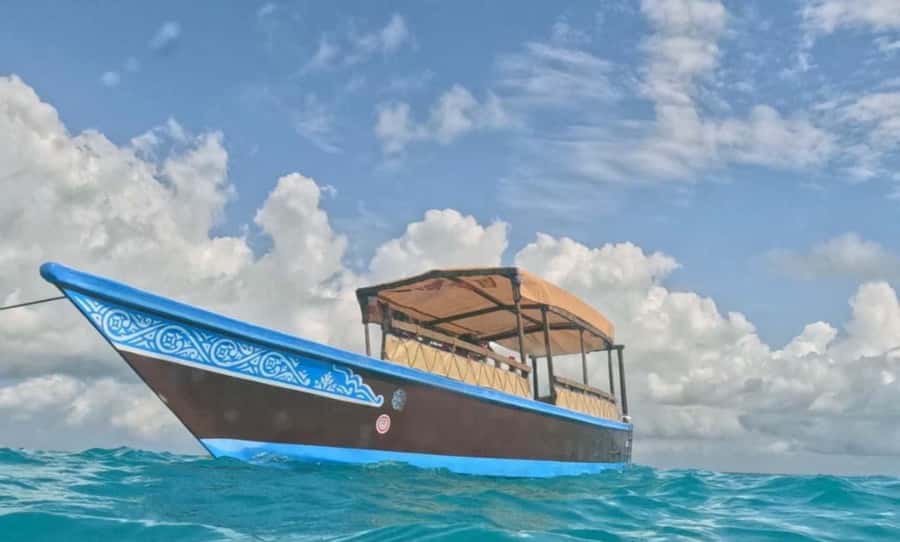 FROM NUNGWI; MNEMBA SNORKELING AND DOLPHIN TOUR - Snorkeling around Mnemba