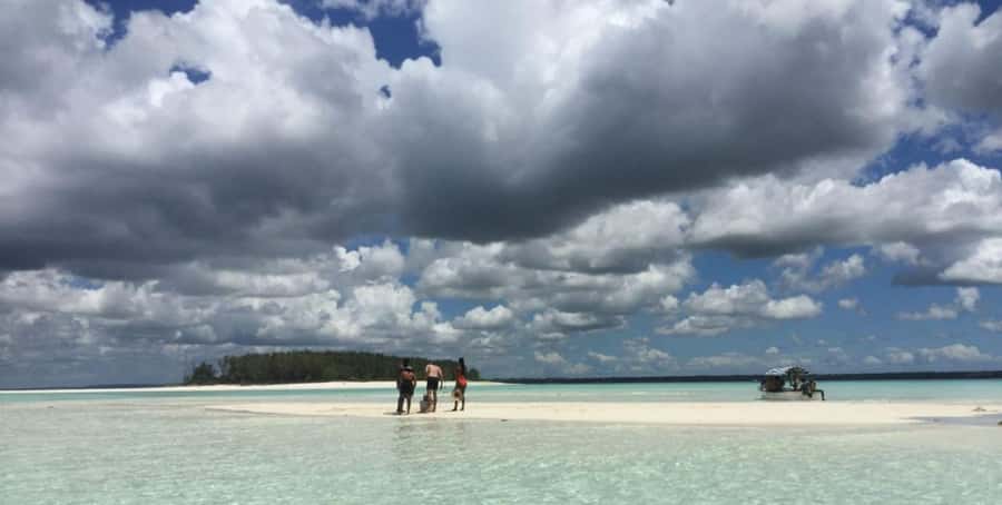 FROM NUNGWI; MNEMBA SNORKELING AND DOLPHIN TOUR - Is $45 a fair price?