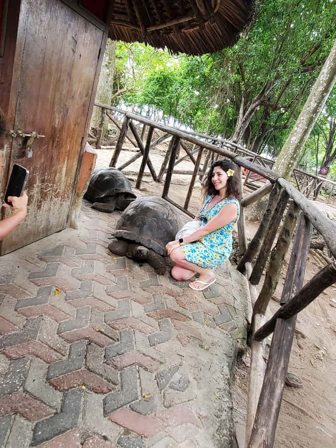 From Nungwi: Prison Island & Nakupenda Sandbank Escape - Two and a half hours for swimming, snorkeling, and lunch
