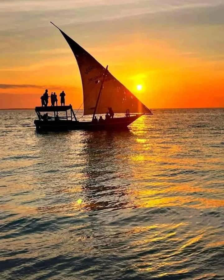 From Nungwi: Sunset Dhow Cruises - Key Points Before You Book
