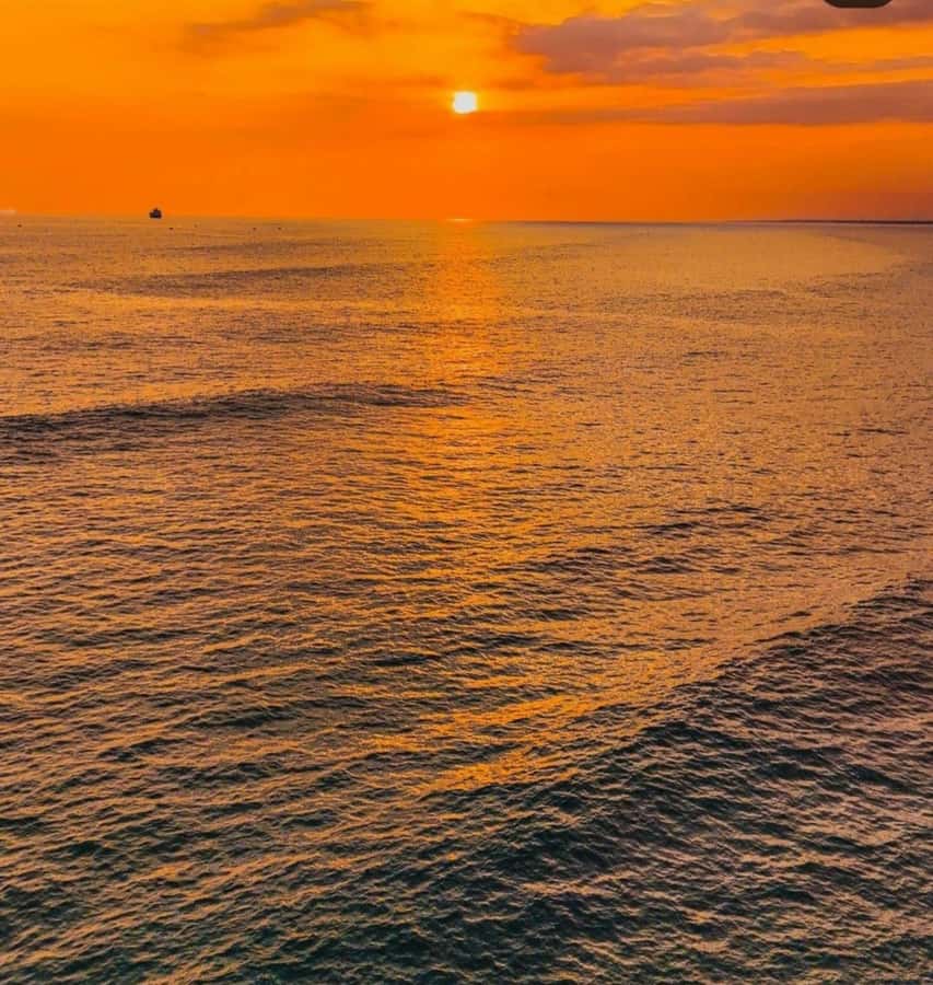 From Nungwi: Sunset Dhow Cruises - Two Hours on the Indian Ocean