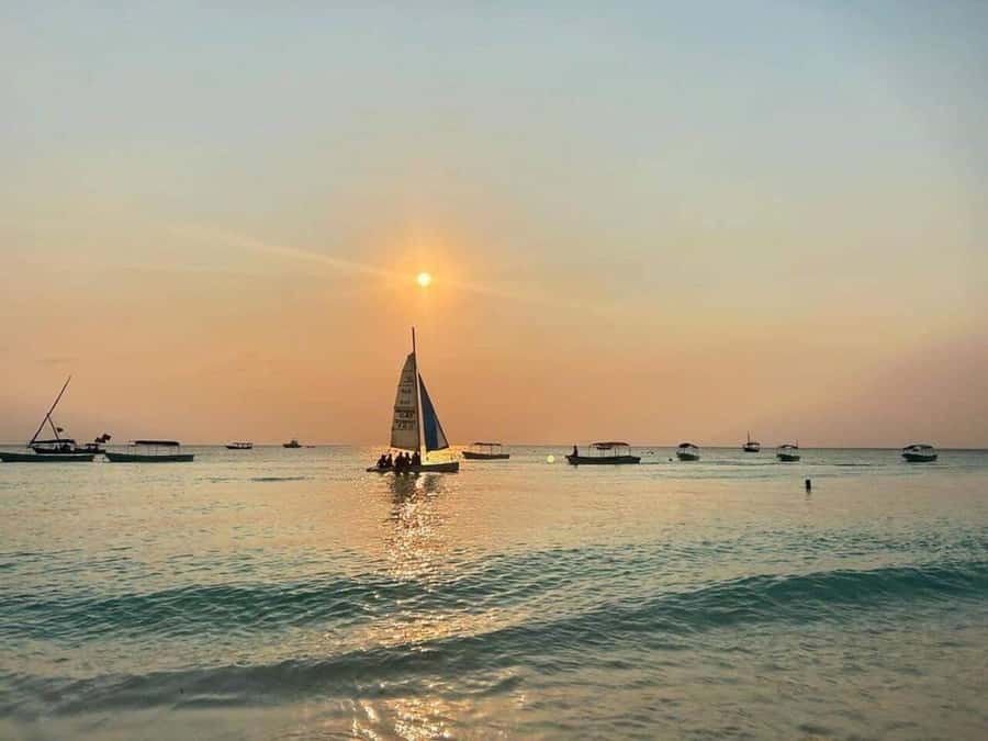 From Nungwi: Sunset Dhow Cruises - Music, Dancing, and Tropical Fruit