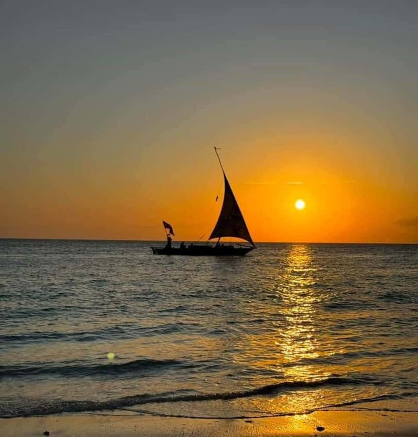 From Nungwi: Sunset Dhow Cruises - Is $14 Good Value?