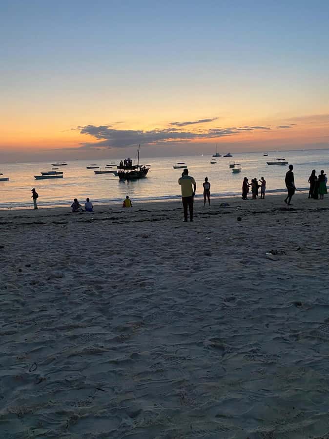 From Nungwi: Sunset Dhow Cruises - Who Will Enjoy This Cruise Most