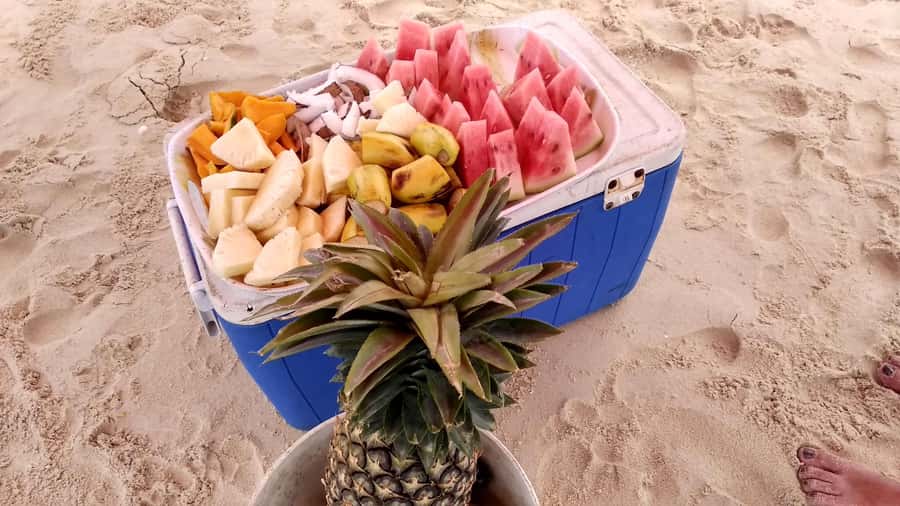 From Stone Town: Sandbank picnic with sea food BBQ Lunch - What the $151 price includes