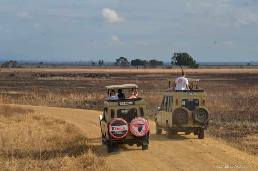 From Zanzibar: day Safari to Mikumi National Park - A Short Flight, Then Mainland Tanzania