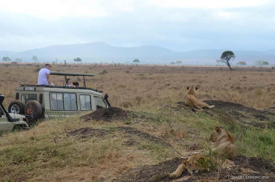 From Zanzibar: day Safari to Mikumi National Park - The 4 a.m. Hotel Pickup Sets the Pace