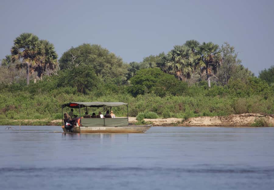 From Zanzibar: Day Safari to Selous Game Reserve with flight - The flight home and hotel drop-off