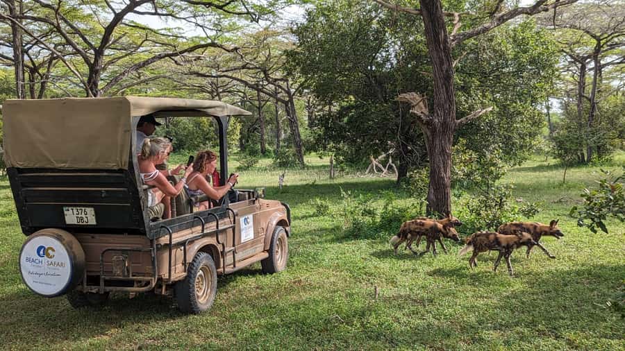 From Zanzibar: Day Selous Game Reserve Safari with Flights - The small plane to Nyerere National Park