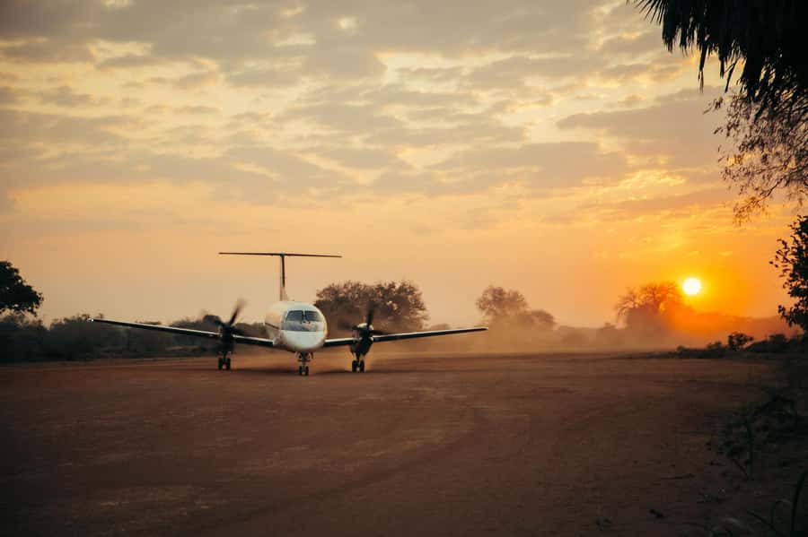 From Zanzibar: Day Selous Game Reserve Safari with Flights - The afternoon drive and flight back