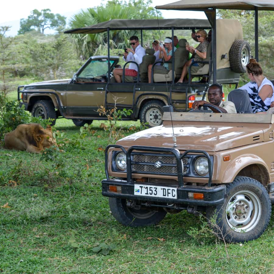 From Zanzibar: Day Selous Game Reserve Safari with Flights - Who should choose this day safari?