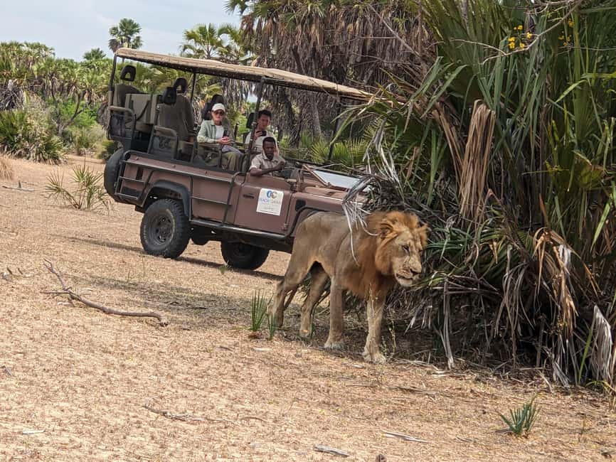 From Zanzibar: Mikumi Day Safari without hotel pickup - Why Mikumi makes sense from Zanzibar