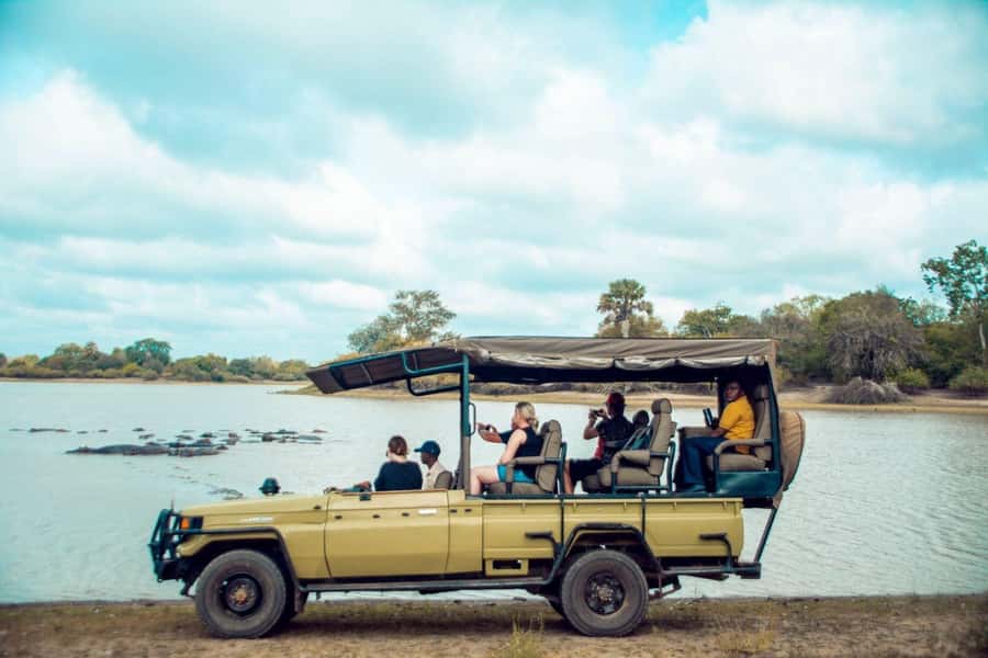 From Zanzibar: Mikumi Day Trip Safari By Flight. - Why this Zanzibar safari works