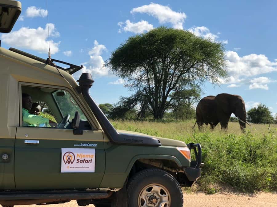 From Zanzibar: Mikumi National Park Guided Safari - The 45-minute flight to Mikumi National Park