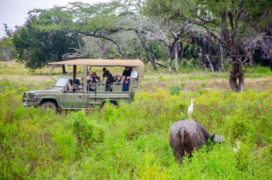From Zanzibar: Mikumi National Park Guided Safari - Eight hours of wildlife viewing by open 4x4