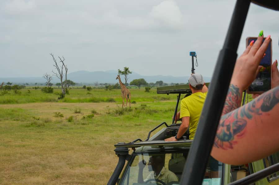 From Zanzibar: Mikumi National Park Guided Safari - Who should book this safari