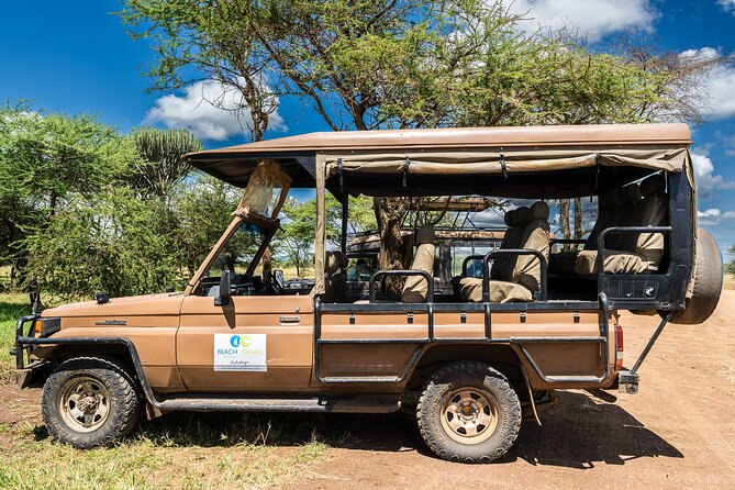 From Zanzibar: Mikumi Safari Day Trip with Flights and Meal - The small aircraft from Zanzibar to Mikumi
