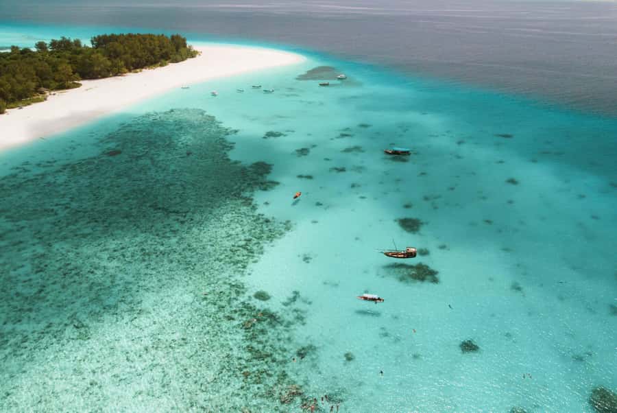 From Zanzibar: Mnemba Boat Tour with Snorkeling & Dolphine - The Dolphin Encounter and Its Ethical Problem