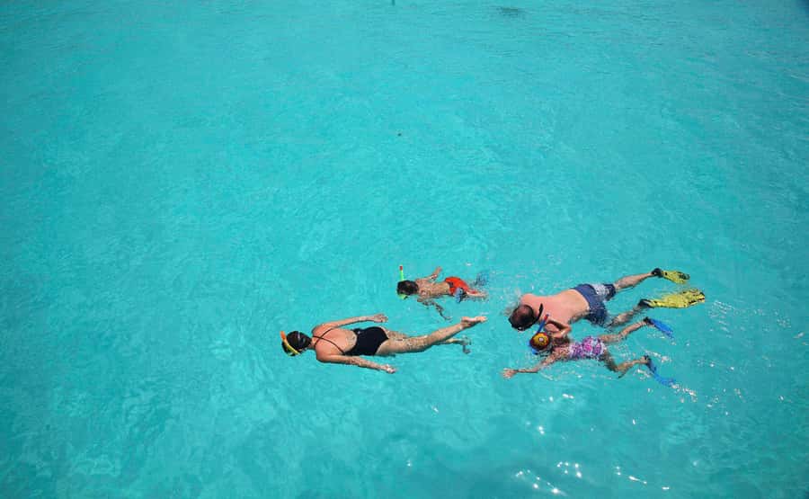 From Zanzibar: Mnemba Boat Tour with Snorkeling & Dolphine - Timing, Languages, and Practical Preparation