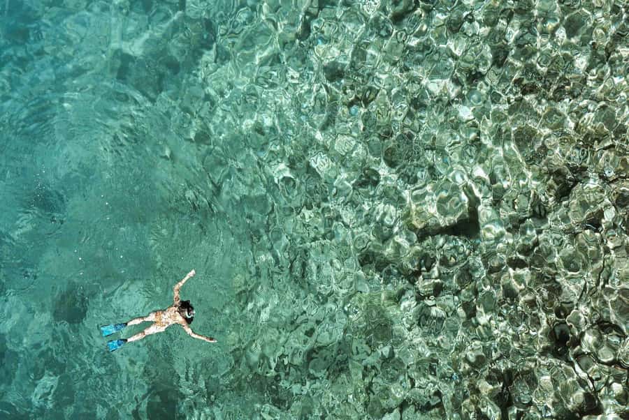 From Zanzibar: Mnemba Boat Tour with Snorkeling & Dolphine - Should You Book the Mnemba Boat Tour?